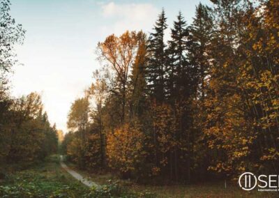 Knowing God Through the Darkest Hours