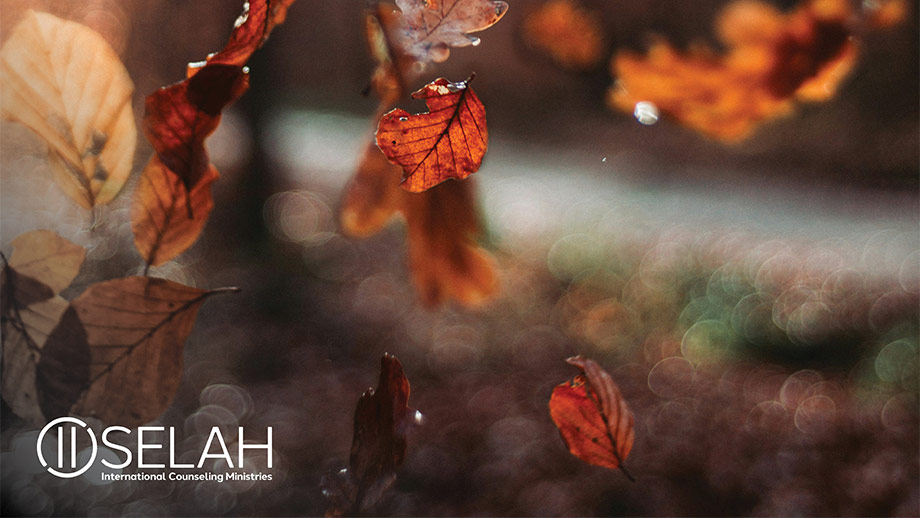 Reconstruyendo un Corazón Agradecido